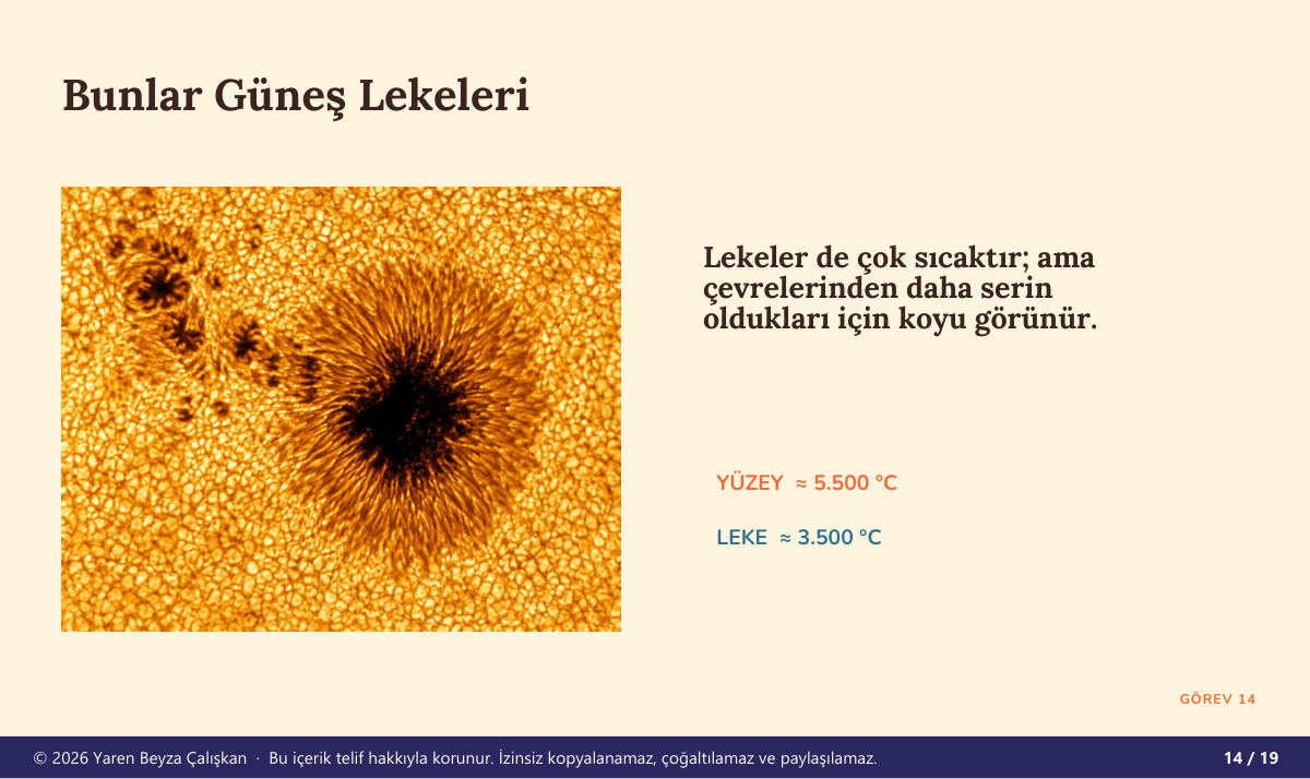 Güneş lekeleri